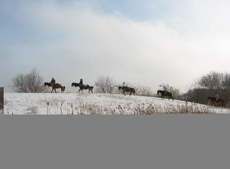 We offer year-round trail riding opportunities