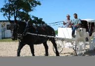 Carriage Rides