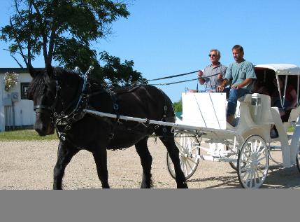 Carriage Rides available
