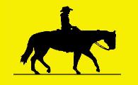 Meet Our Horses